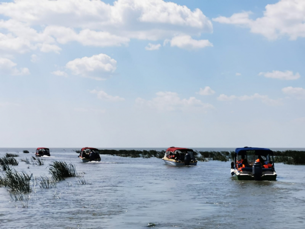 Turisii sperie speciile de pasari din Delta Dunarii