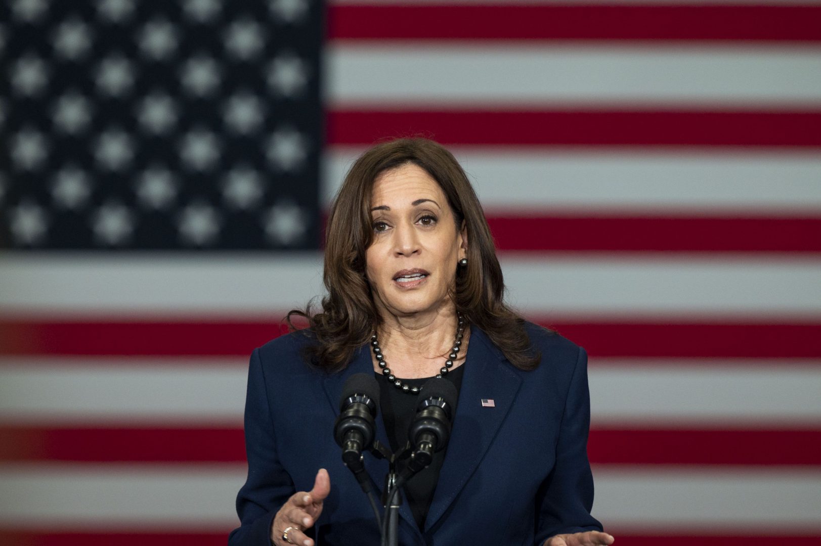 Democrații au înregistrat cea mai mare strângere de fonduri din 2024 după anunțul candidaturii lui Kamala Harris la alegerile SUA. Câți bani au fost strânși într-o singură zi