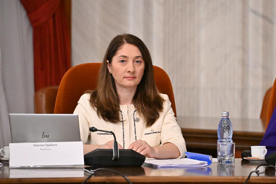 Simona Spătaru, despre dificultățile coaliției privind desemnarea candidaților: „Nu i-au interesat decât planul acesta privind comasarea”