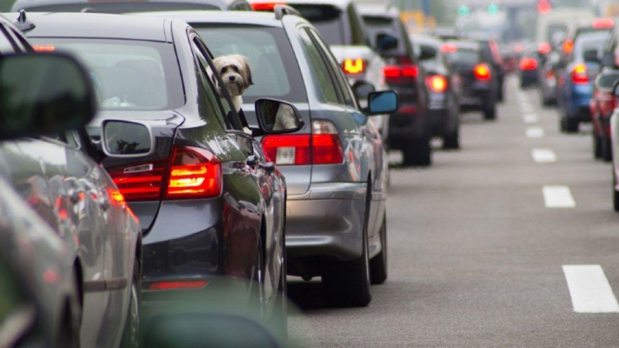 O coloană de mașini de 2 km s-a format pe autostrada București – Pitești în zona Ciorogârla / Se circulă pe o singură bandă după ce cinci mașini au fost implicate într-un accident