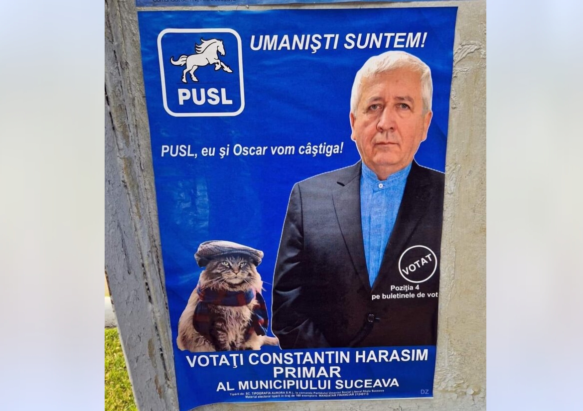 Țeapă electorală cu pisici. Pe motanul care apare pe afișul de campanie al candidatului PUSL la Primăria Suceava nu îl cheamă Oscar și e, de fapt, din Berlin. Felina e celebră pe internet (FOTO, VIDEO)