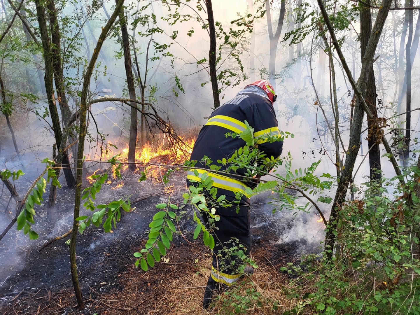 Incendiu masiv în Giurgiu: 42 de hectare, cuprinse de flăcări