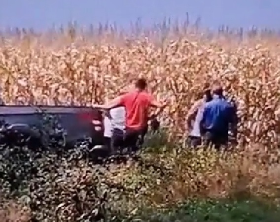 Fermier bătut cu o bâtă de viceprimarul unei comune din Botoșani. Scene incredibile pe un teren agricol din Copălău (VIDEO)